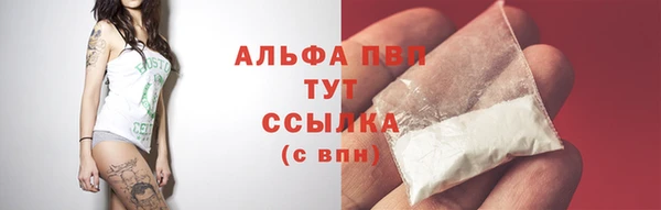 амф Кинешма